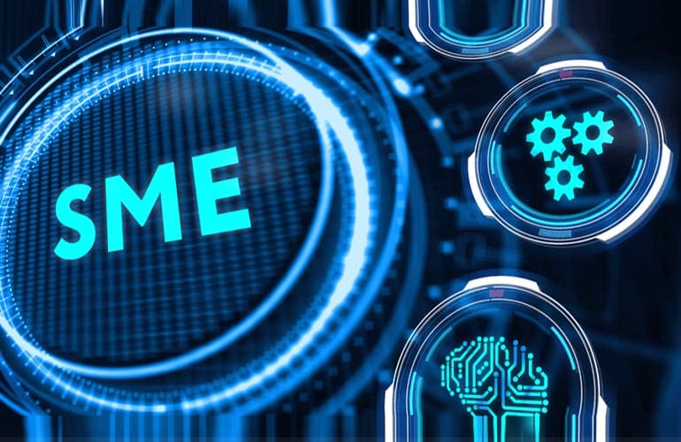 Small and Medium Enterprise (SME) Financing